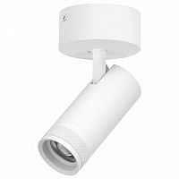 Спот Lightstar Canno Pro C4206SO в Нижнем Новгороде