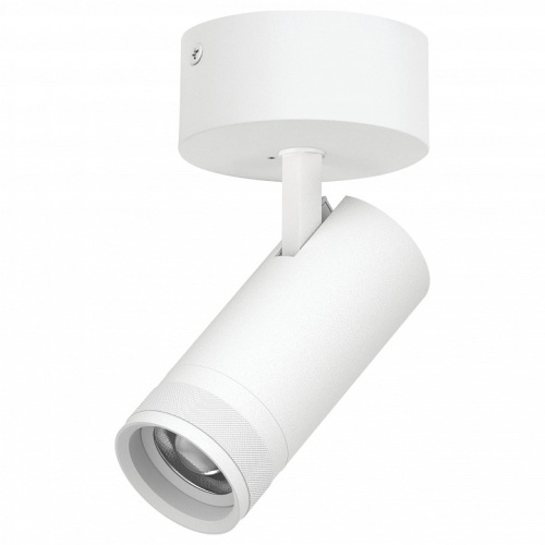 Спот Lightstar Canno Pro C4206SO в Нижнем Новгороде