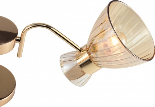 Люстра на штанге Rivoli Victoria 9183-303 в Нижнем Новгороде фото 3