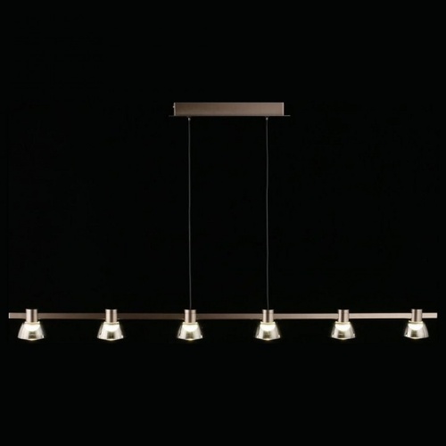 Подвесной светильник Aployt Rezeda APL.788.03.06 в Нижнем Новгороде фото 2