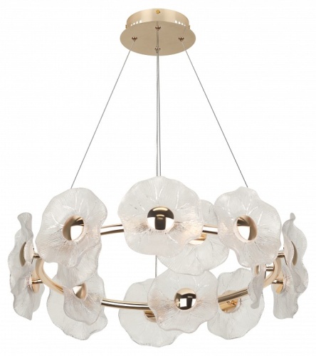 Подвесная люстра Rivoli Shannon Б0061947 в Нижнем Новгороде фото 6