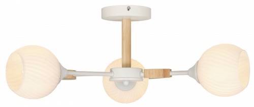 Люстра на штанге Rivoli Chiara Б0068427 в Нижнем Новгороде фото 3