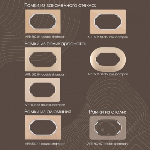 Розетка двойная с заземлением, без рамки Arte Milano am-202 202.40-2.shampan в Нижнем Новгороде фото 2