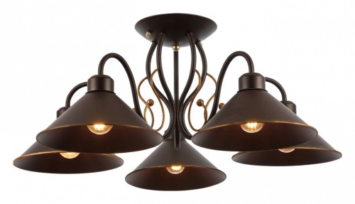 Люстра на штанге EVOLUCE Ciolla SLE120402-05 в Нижнем Новгороде фото 10