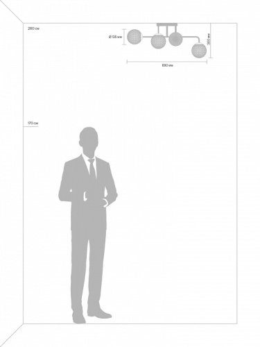 Потолочная люстра Freya Navel FR8016PL-06BBS в Нижнем Новгороде фото 3