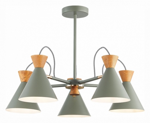 Люстра на штанге EVOLUCE Modica SLE125112-05 в Нижнем Новгороде фото 3