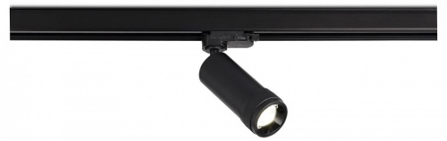 Светильник на штанге ST-Luce ST691 ST691.436.10 в Нижнем Новгороде