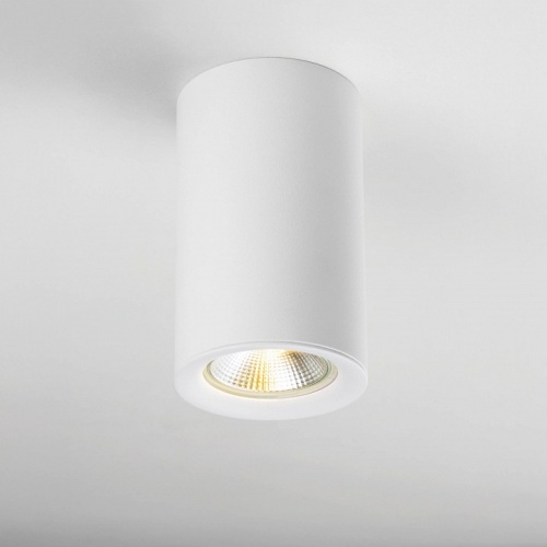 Рамка на 1 светильник Lightstar Rullo 204436 в Нижнем Новгороде фото 2