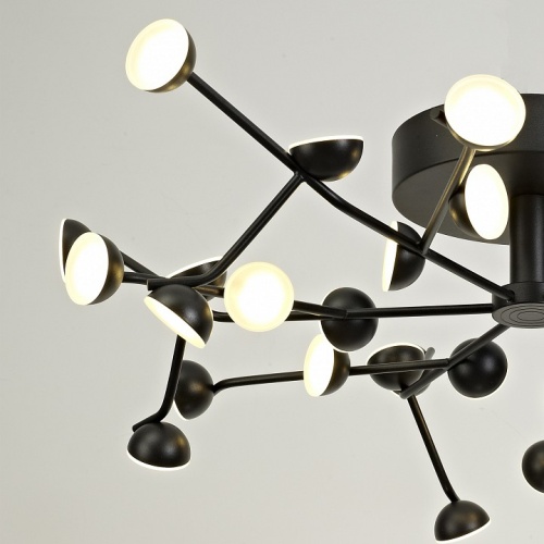 Накладной светильник Mantra Adn 6422 в Нижнем Новгороде фото 2