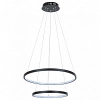 Подвесной светильник Arte Lamp Frodo A2197SP-2BK в Симе