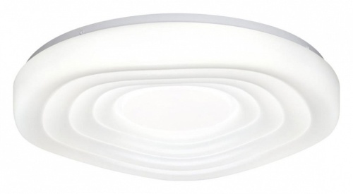 Накладной светильник Sonex Fass 7679/EL в Нижнем Новгороде фото 4