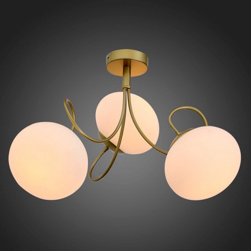 Потолочная люстра EVOLUCE Acini SL717.202.03 в Нижнем Новгороде фото 3