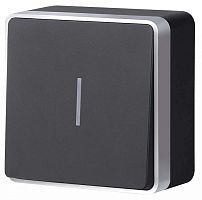 Выключатель одноклавишный с подсветкой Werkel Gallant (черный с серебром) W5010134 в Нижнем Новгороде