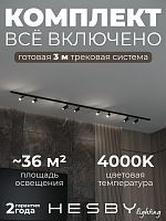 Комплект трековый Hesby Lighting Skylite №3 HSBL_kompl_S003_NI3B4K в Нижнем Новгороде