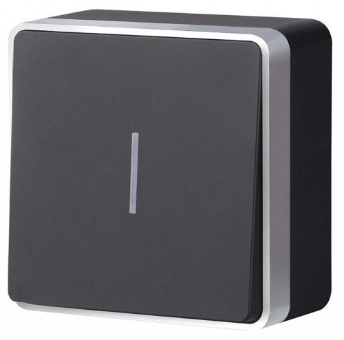 Выключатель одноклавишный с подсветкой Werkel Gallant (черный с серебром) W5010134 в Нижнем Новгороде