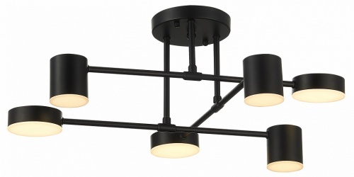 Потолочная люстра EVOLUCE Nobel SLE201042-06 в Нижнем Новгороде фото 12