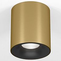 Накладной светильник Elektrostandard Primo 25116/LED в Нижнем Новгороде