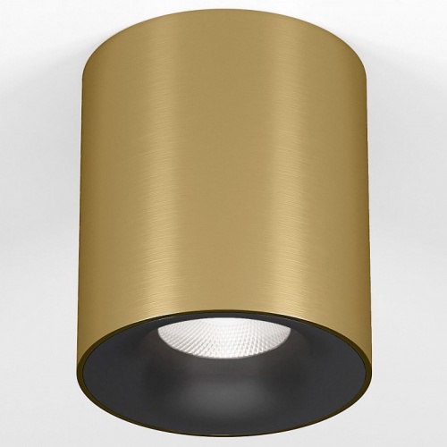 Накладной светильник Elektrostandard Primo 25116/LED в Нижнем Новгороде