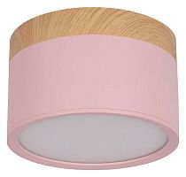 Накладной светильник Loft it Grape 10162 Pink в Нижнем Новгороде