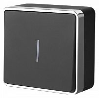 Выключатель одноклавишный с подсветкой Werkel Gallant (черный/хром) W5010135 в Нижнем Новгороде