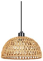 Подвесной светильник Arte Lamp BRUSHWOOD A7086SP-1BK в Нижнем Новгороде