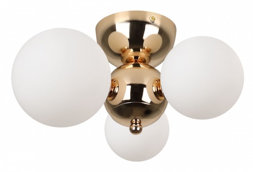 Потолочная люстра Rivoli Liviana Б0066413 в Нижнем Новгороде фото 3