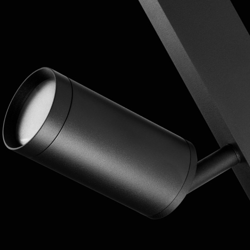 Светильник на штанге Lightstar Teta 205027R в Нижнем Новгороде фото 2