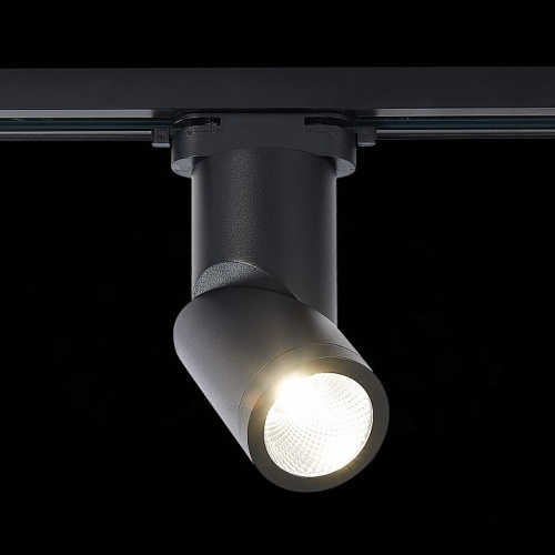 Светильник на штанге ST-Luce ST650 ST650.446.10 в Нижнем Новгороде фото 3