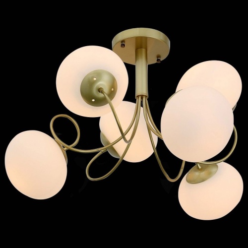 Люстра на штанге EVOLUCE Acini SL717.202.06 в Нижнем Новгороде фото 6