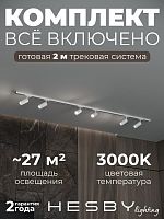 Комплект трековый Hesby Lighting Skylite №3 HSBL_kompl_S003_NI2W3K в Нижнем Новгороде