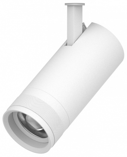 Светильник на штанге Lightstar Canno Pro 304206 в Нижнем Новгороде