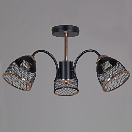 Люстра на штанге 01505-0.3-03 BK+FGD в Нижнем Новгороде фото 3