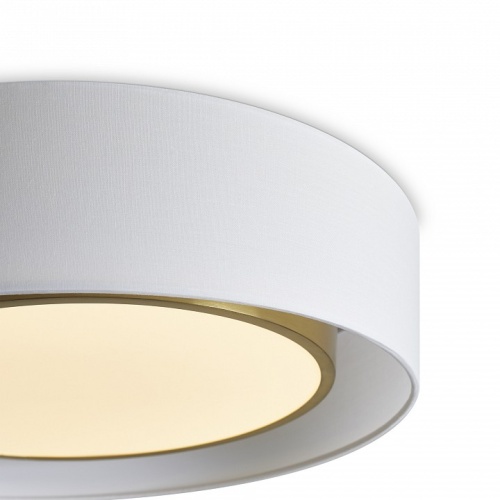 Накладной светильник Freya Cozy FR6170CL-L52BS в Нижнем Новгороде фото 3