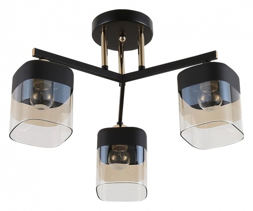 Люстра на штанге Rivoli Isadora Б0054750 в Нижнем Новгороде