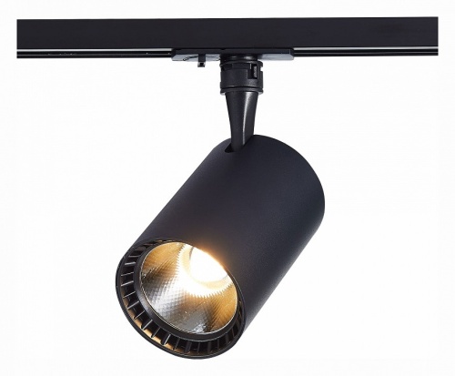 Светильник на штанге ST-Luce Cami ST351.446.15.36 в Нижнем Новгороде фото 9