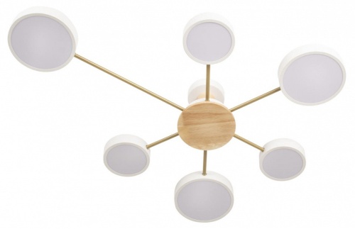 Потолочная люстра Loft it Sunrise 10316/6 White в Нижнем Новгороде фото 5