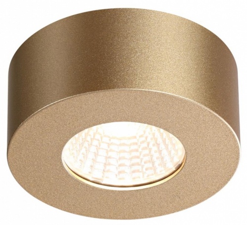 Накладной светильник Odeon Light Bene 4284/7CL в Геленджике фото 2