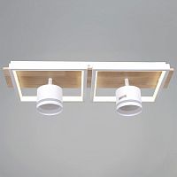 Накладной светильник 19560-0.3-2+2 WH+WOOD в Нижнем Новгороде