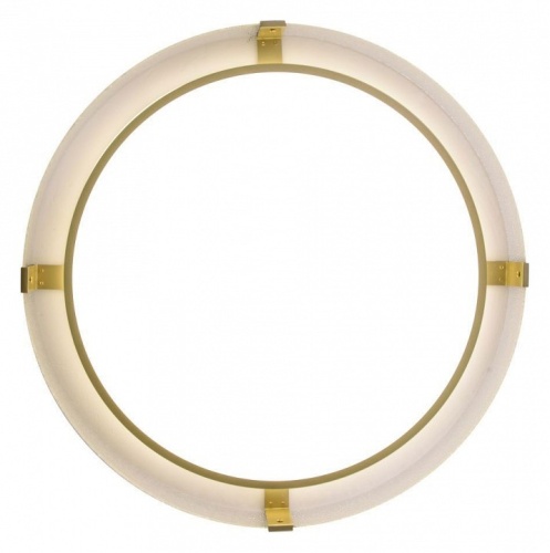 Накладной светильник Zortes Gerda ZRS.1097.60 в Нижнем Новгороде фото 12