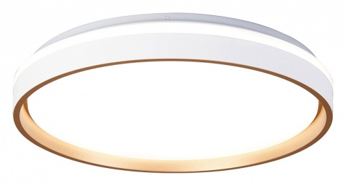 Накладной светильник Mantra Verona 9026 в Нижнем Новгороде