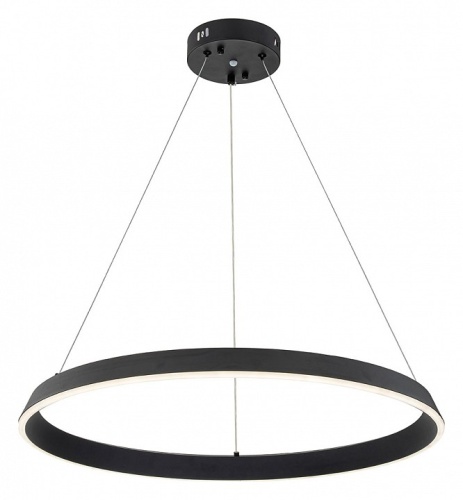Подвесной светильник Indigo Orta 14019/1P Black в Нижнем Новгороде фото 5