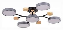 Потолочная люстра EVOLUCE Faema SLE6006-702-05 в Нижнем Новгороде