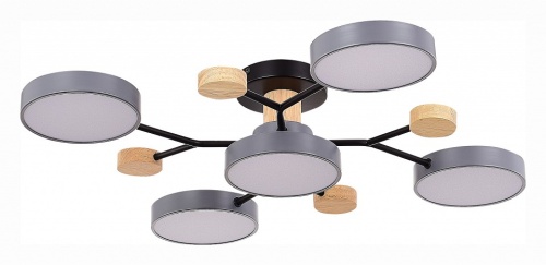 Потолочная люстра EVOLUCE Faema SLE6006-702-05 в Нижнем Новгороде