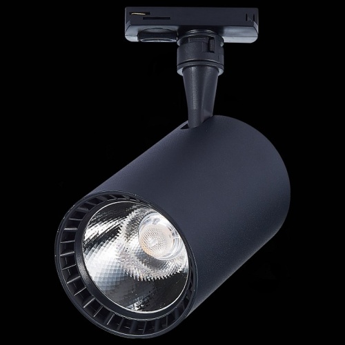 Светильник на штанге ST-Luce Cami ST351.436.30.36 в Нижнем Новгороде фото 2