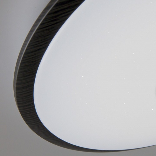 Накладной светильник Citilux Старлайт Смарт CL703A65G в Петровом Вале фото 15