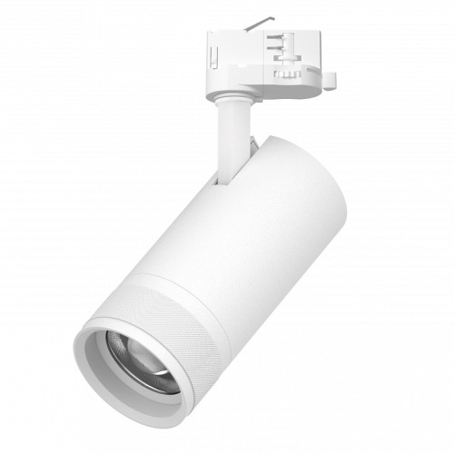 Светильник на штанге Lightstar Canno Pro C4306QT в Нижнем Новгороде фото 3