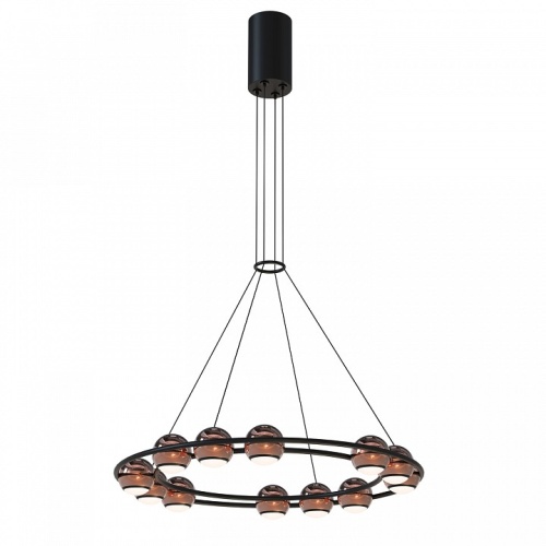 Подвесная люстра Favourite Sturm 4561-12P в Нижнем Новгороде фото 2