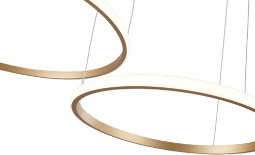 Подвесной светильник Zortes Ringolight ZRS.33320.63F в Нижнем Новгороде фото 2