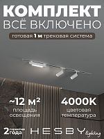 Комплект трековый Hesby Lighting Skylite №5 HSBL_kompl_S005_VI1W4K в Нижнем Новгороде
