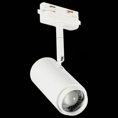 Светильник на штанге ST-Luce Zoom ST600.546.12 в Тюмени фото 5